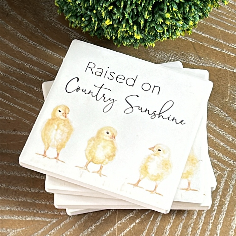NEW! Country Farmhouse Rooster Spring Chick Chicken Ceramic Stone Coaster Set